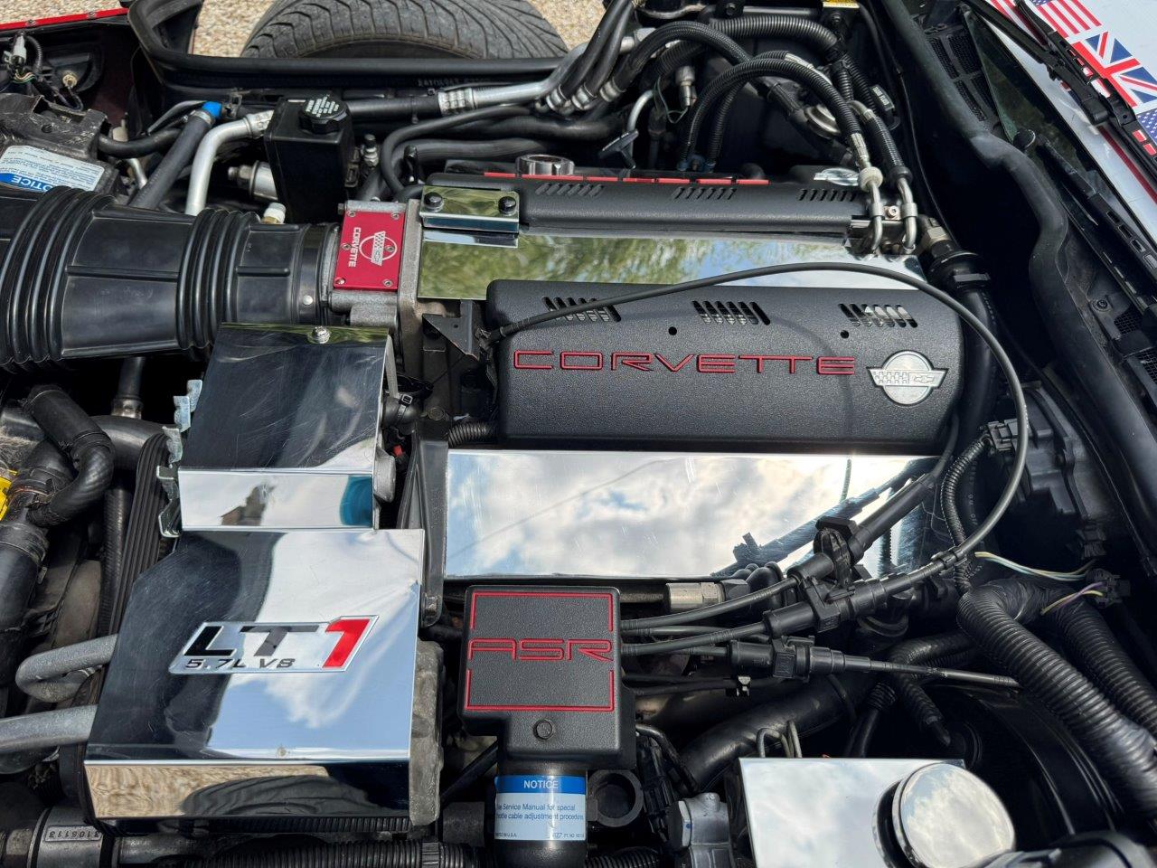 stock-image